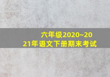 六年级2020~2021年语文下册期末考试