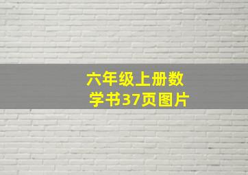 六年级上册数学书37页图片