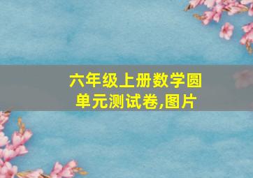 六年级上册数学圆单元测试卷,图片