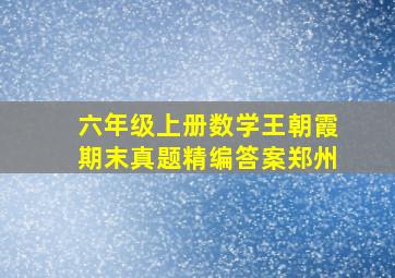 六年级上册数学王朝霞期末真题精编答案郑州