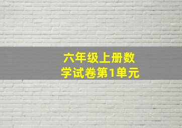 六年级上册数学试卷第1单元