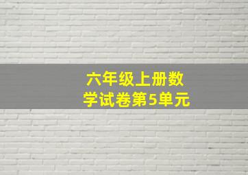 六年级上册数学试卷第5单元