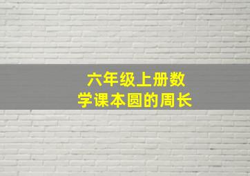 六年级上册数学课本圆的周长