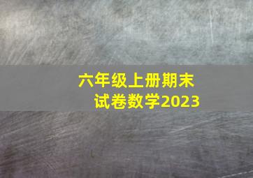 六年级上册期末试卷数学2023