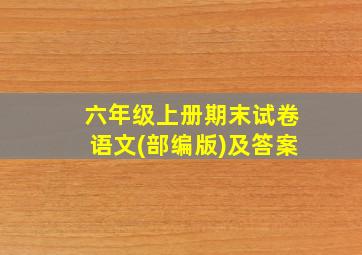 六年级上册期末试卷语文(部编版)及答案