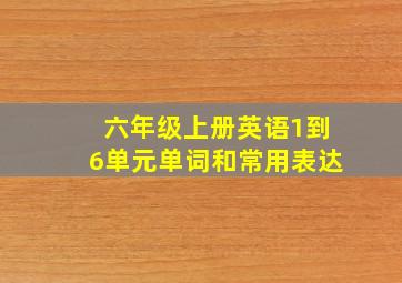 六年级上册英语1到6单元单词和常用表达