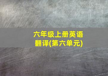 六年级上册英语翻译(第六单元)