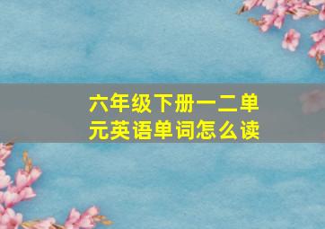 六年级下册一二单元英语单词怎么读