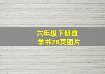 六年级下册数学书28页图片