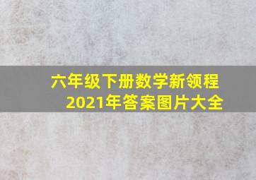 六年级下册数学新领程2021年答案图片大全