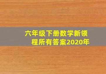 六年级下册数学新领程所有答案2020年