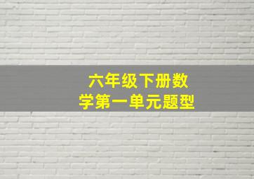 六年级下册数学第一单元题型