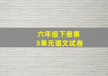 六年级下册第3单元语文试卷