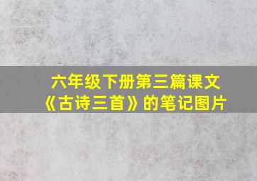 六年级下册第三篇课文《古诗三首》的笔记图片