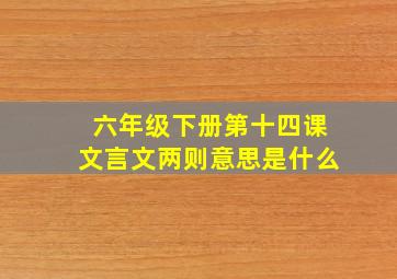 六年级下册第十四课文言文两则意思是什么