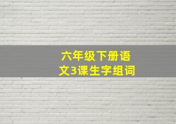 六年级下册语文3课生字组词