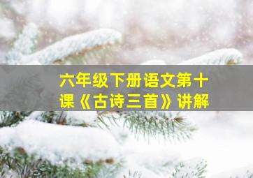 六年级下册语文第十课《古诗三首》讲解