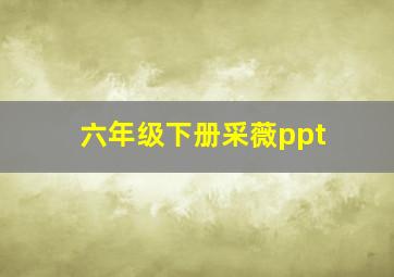 六年级下册采薇ppt