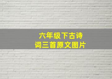 六年级下古诗词三首原文图片