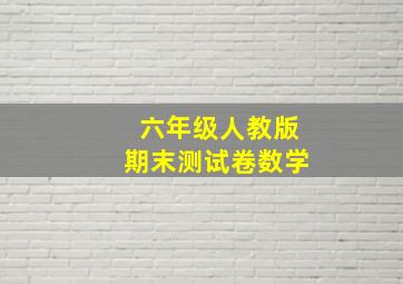 六年级人教版期末测试卷数学