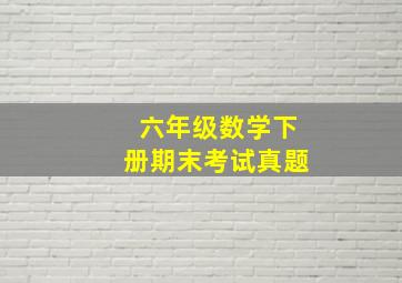 六年级数学下册期末考试真题