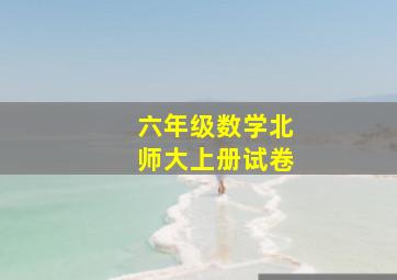 六年级数学北师大上册试卷