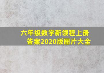 六年级数学新领程上册答案2020版图片大全