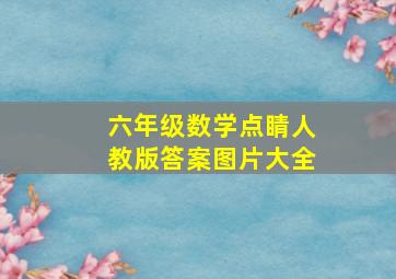 六年级数学点睛人教版答案图片大全