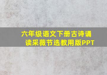 六年级语文下册古诗诵读采薇节选教用版PPT