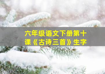 六年级语文下册第十课《古诗三首》生字