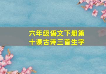 六年级语文下册第十课古诗三首生字