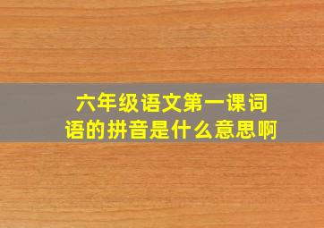 六年级语文第一课词语的拼音是什么意思啊