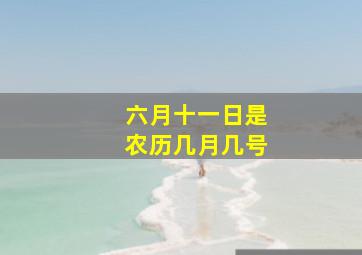 六月十一日是农历几月几号