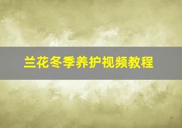 兰花冬季养护视频教程