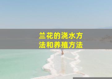 兰花的浇水方法和养殖方法