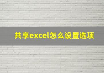 共享excel怎么设置选项