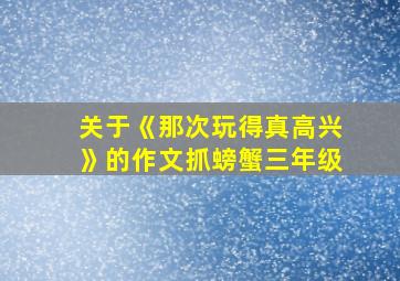 关于《那次玩得真高兴》的作文抓螃蟹三年级