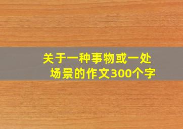 关于一种事物或一处场景的作文300个字