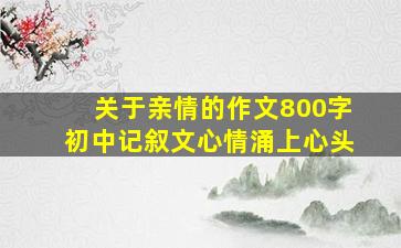 关于亲情的作文800字初中记叙文心情涌上心头