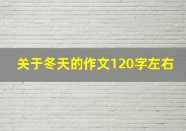 关于冬天的作文120字左右