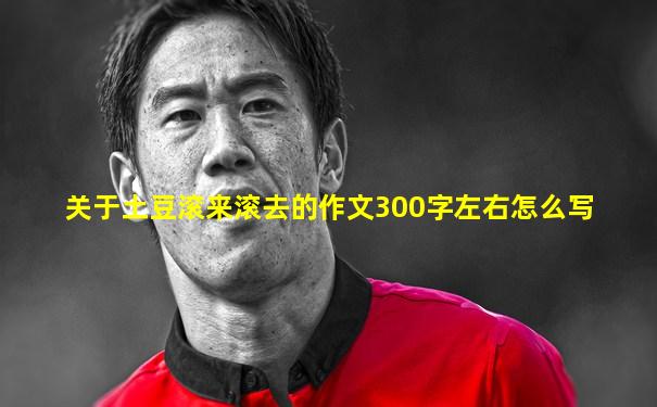 关于土豆滚来滚去的作文300字左右怎么写