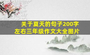 关于夏天的句子200字左右三年级作文大全图片