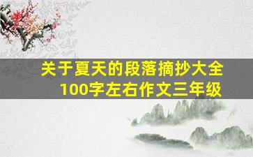 关于夏天的段落摘抄大全100字左右作文三年级