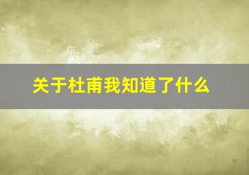 关于杜甫我知道了什么