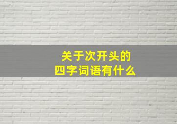 关于次开头的四字词语有什么