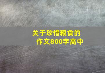 关于珍惜粮食的作文800字高中