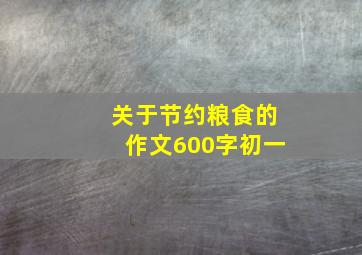 关于节约粮食的作文600字初一