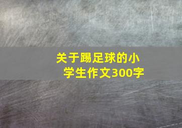 关于踢足球的小学生作文300字