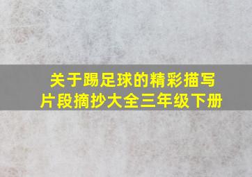 关于踢足球的精彩描写片段摘抄大全三年级下册