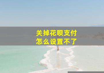 关掉花呗支付怎么设置不了